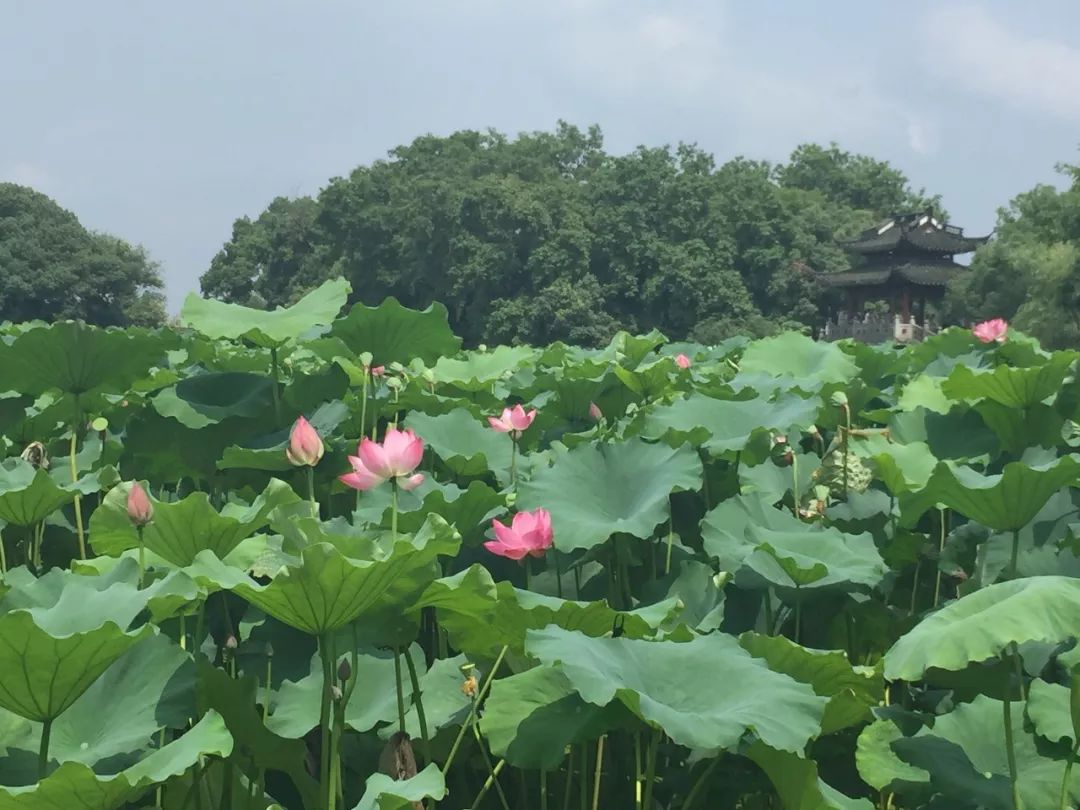 上海迪士尼旅游攻略二日游亲子,上海迪士尼杭州旅游攻略亲子游