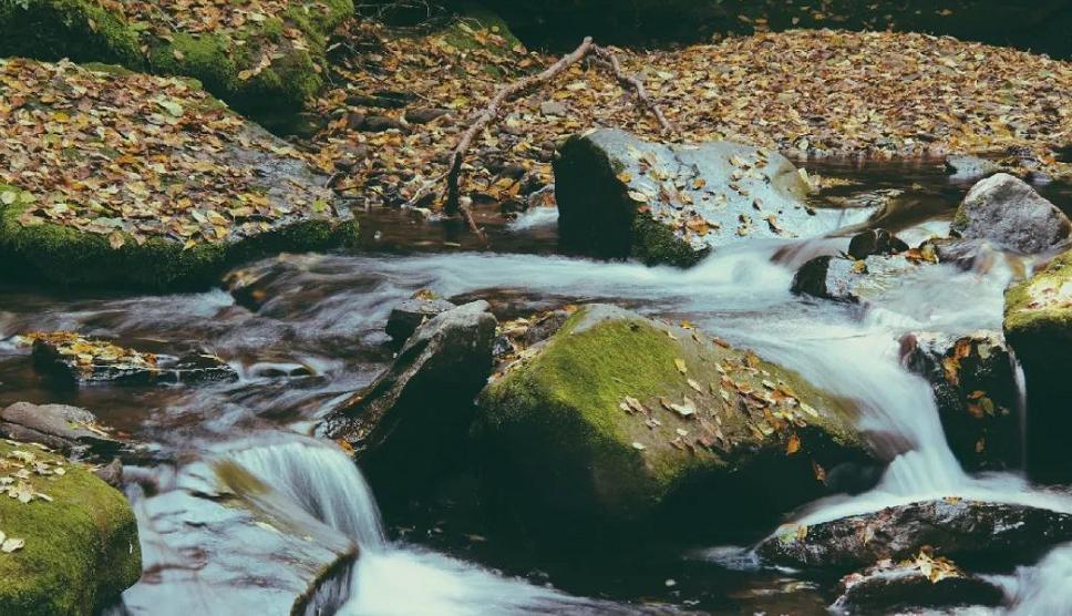 清秋六盘,雅韵唯美,且看宁夏“母亲山”秋色如何养眼怡耳悦心