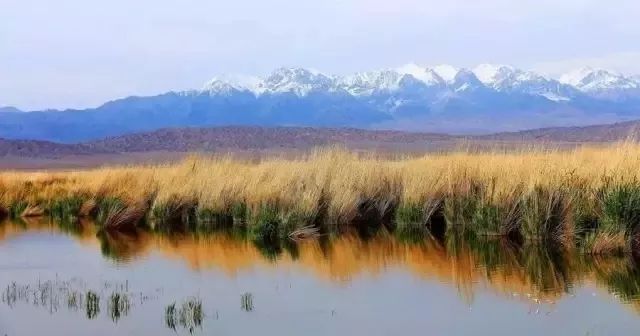 这条最“咸”最彩的公路，治好了我*藏西**的病，解掉了我*疆新**的毒