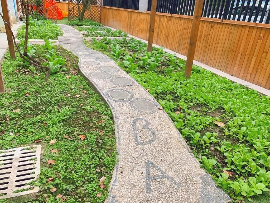 成都武侯探店,成都高性价比民办园