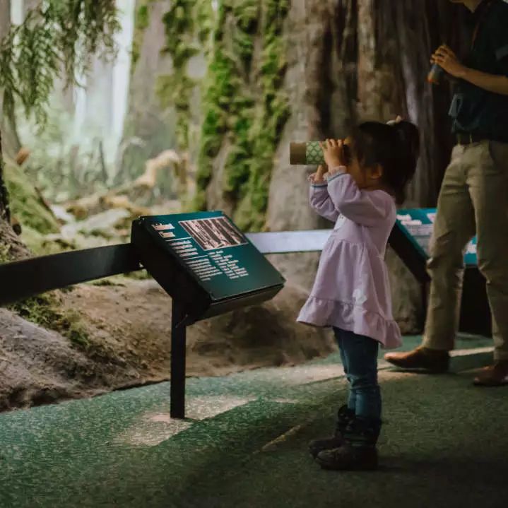 这场Dior杭州时装展，让我梦回2年前的加拿大