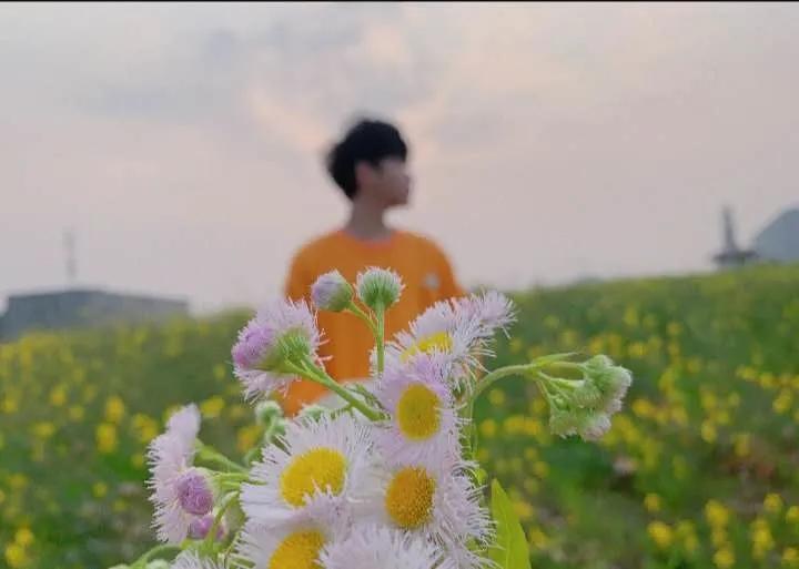 方与圆人生感悟,方与圆的人生智慧珍藏