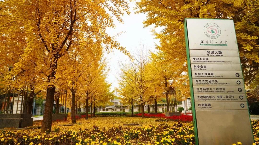 辽宁省普通高等院校,辽宁省沈阳本科大学