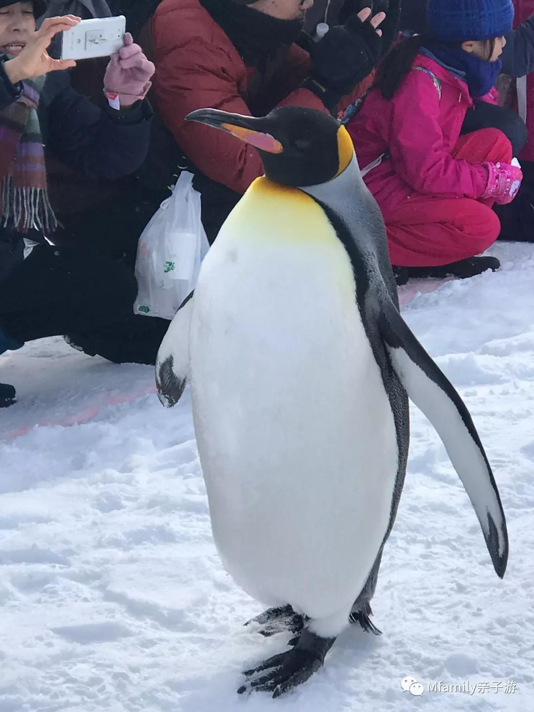 被疫情憋疯小朋友,被疫情憋疯的孩子们