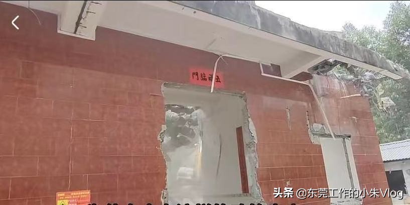 广西老七与越南阿芝的故事,广西老七和越南阿芝