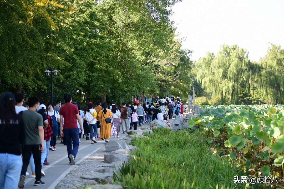 北京圆明园一日游推荐,圆明园秋色如画