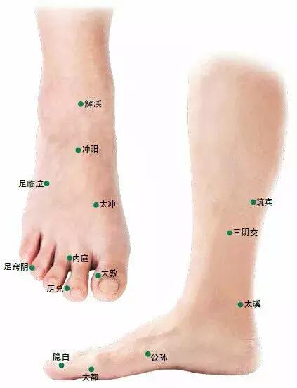 背诊图五脏六腑反射区,足部反射区解析大全