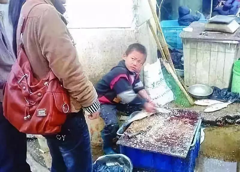 杀鱼弟再成爆款：为什么穷人逆袭如此艰难？