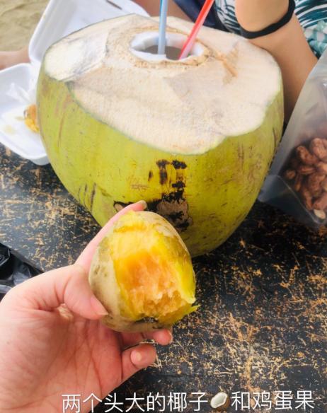 芽庄出行准备哪些,芽庄怎么去最划算