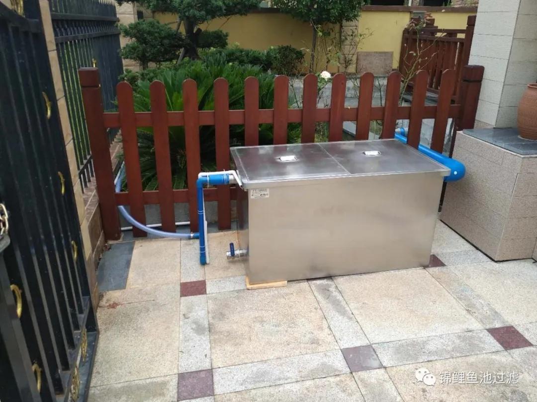 养锦鲤必备的一款鱼池过滤器,锦鲤鱼池过滤器自制方法
