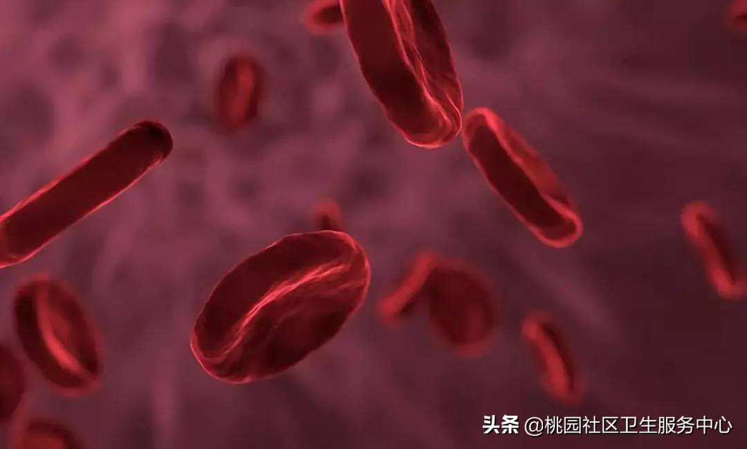 血常规化验单怎么看？掌握这3项就全懂了