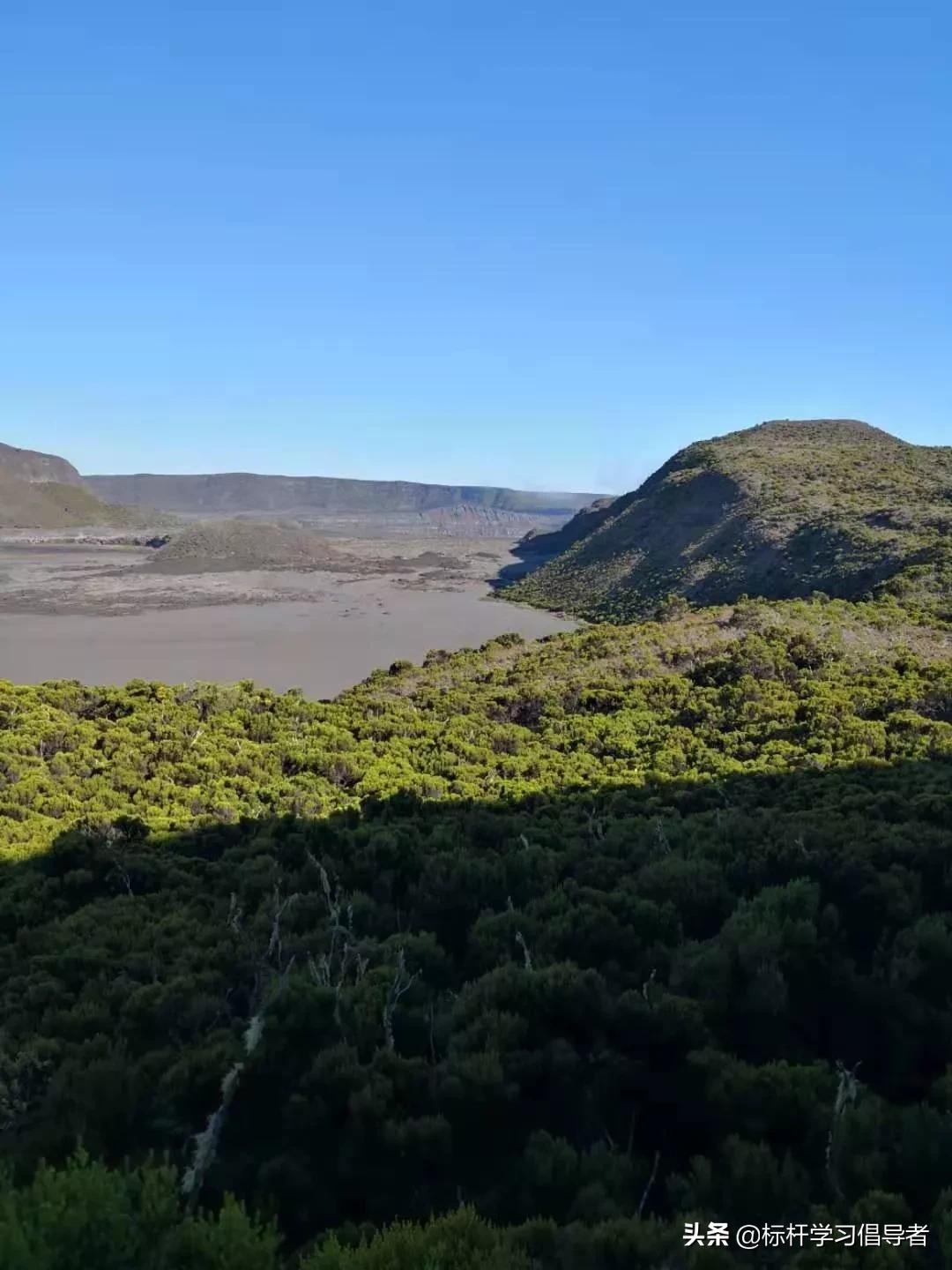 华为海外员工一人一厨一狗,一人一厨一狗这就是华为精神