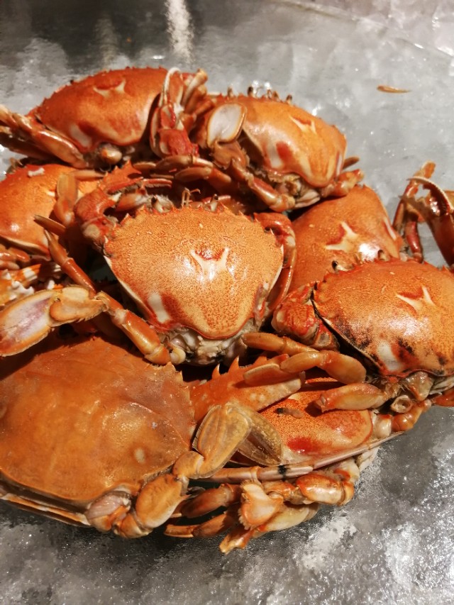 郑州金水路沿线酒店,郑州中原路五星级酒店