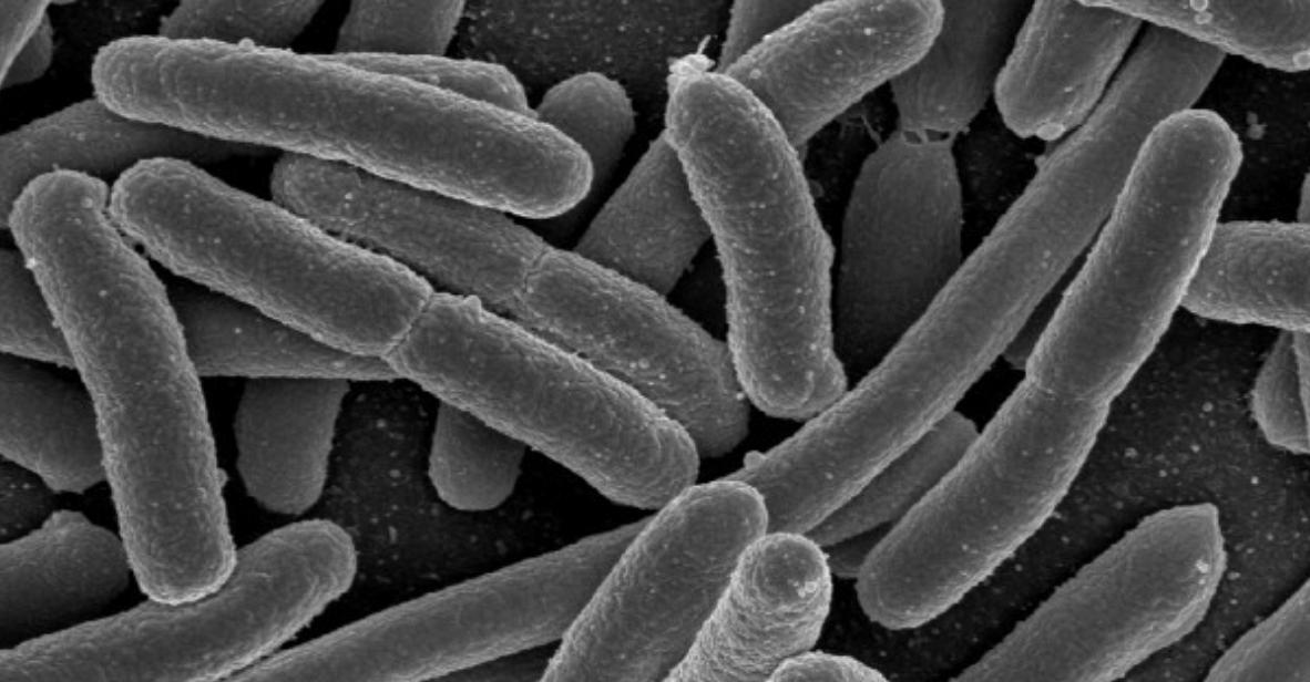 纯天然植物染发有什么危害,纯天然无添加对人体零伤害