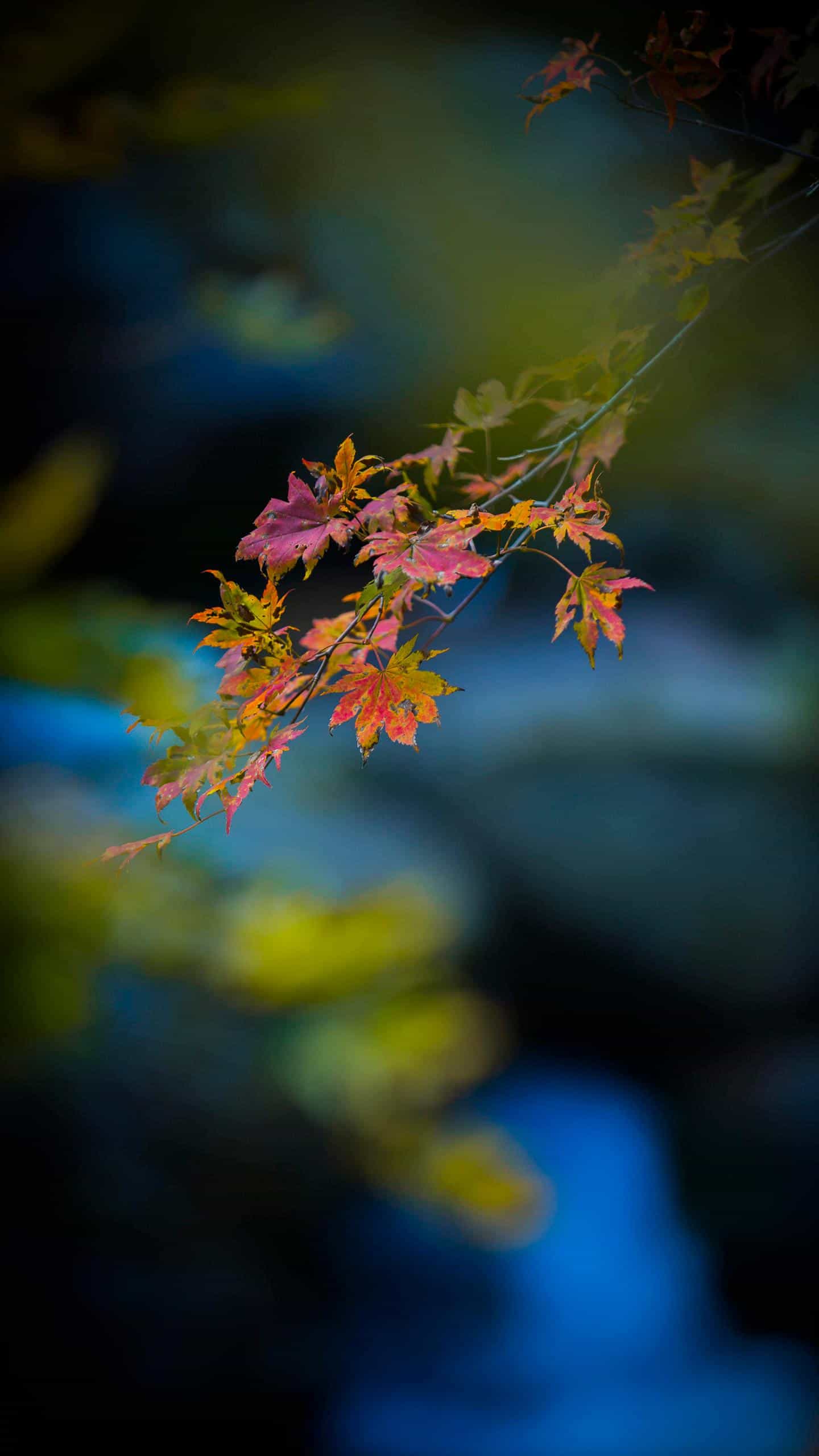 性侵案件证据适用指南,性侵幼童案取证难的问题