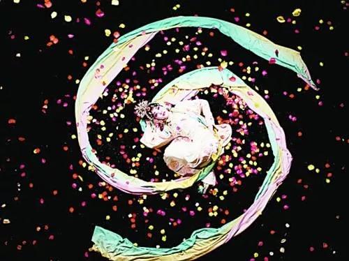 楼观台菊花展,楼观菊花