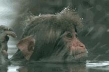 冬天晚上可以洗头吗,冬天冷水洗头好不好