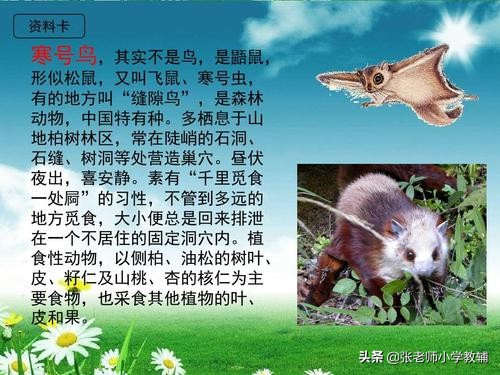 寒号鸟全国优质课一等奖教案,寒号鸟十分钟试讲教案