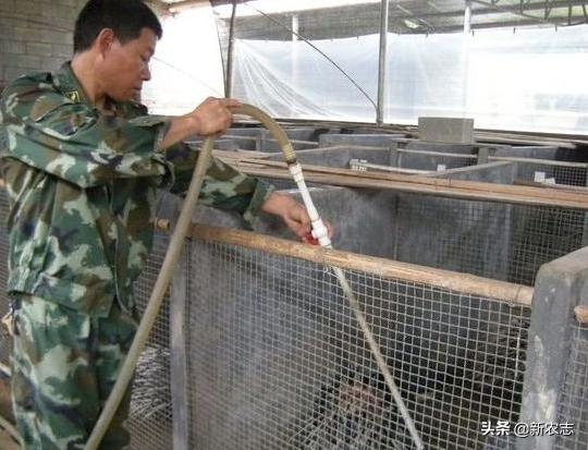 农村养殖十大暴利行业,农村新兴养殖行业听说年赚300万