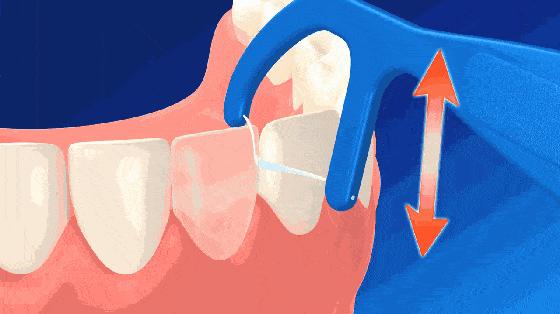 老年口腔病防治与保健,儿童口腔知识误区科普动画