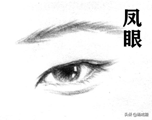 从古人角度解锁单眼皮男星魅力之谜：4眼8神，眼型决定性格有彩蛋