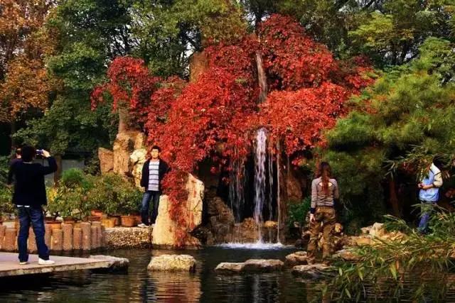 这个季节天津哪里好玩,天津这个季节去哪里玩