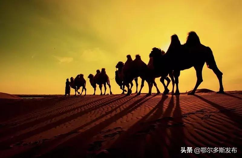 中国可以夜晚看星星的沙漠,迪拜沙漠与大海交汇的奇观