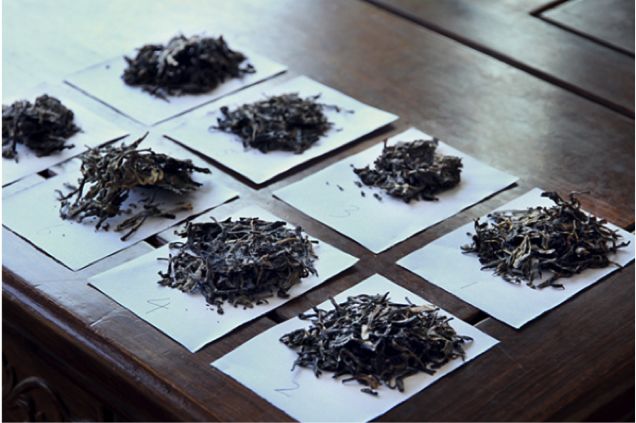 大V吴晓波被禁言,吴晓波讲茶叶