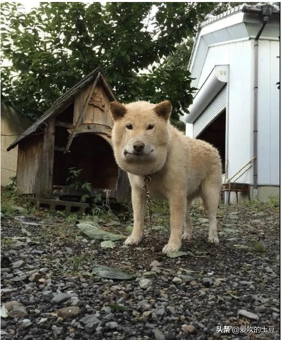 给你一千万,但你喜欢的人要跟别人啪一晚,网友直呼这苦我来受