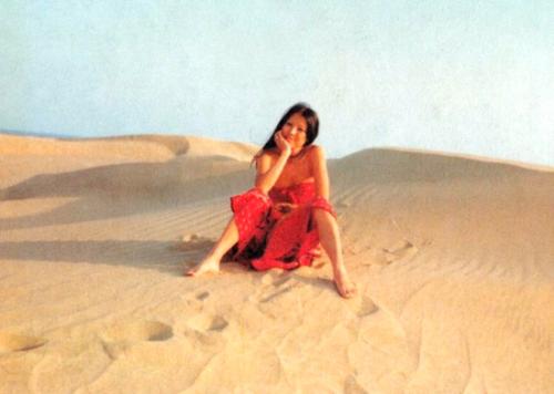 三毛流浪记原版,三毛的流浪记照片