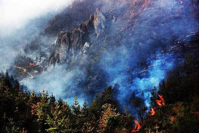 中国四大名玉和田玉,和田玉为什么比蓝田玉价值高