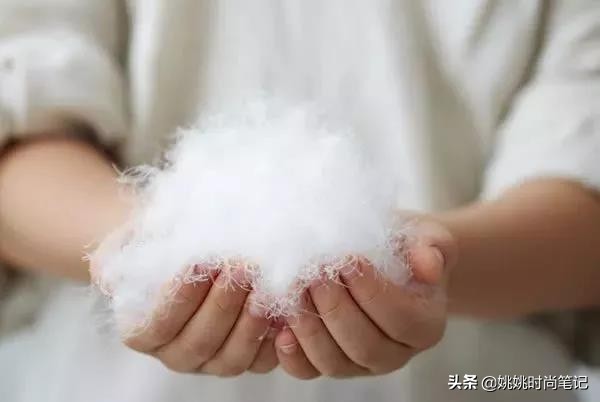 鹅绒的专业知识,羽绒知识的专业讲解