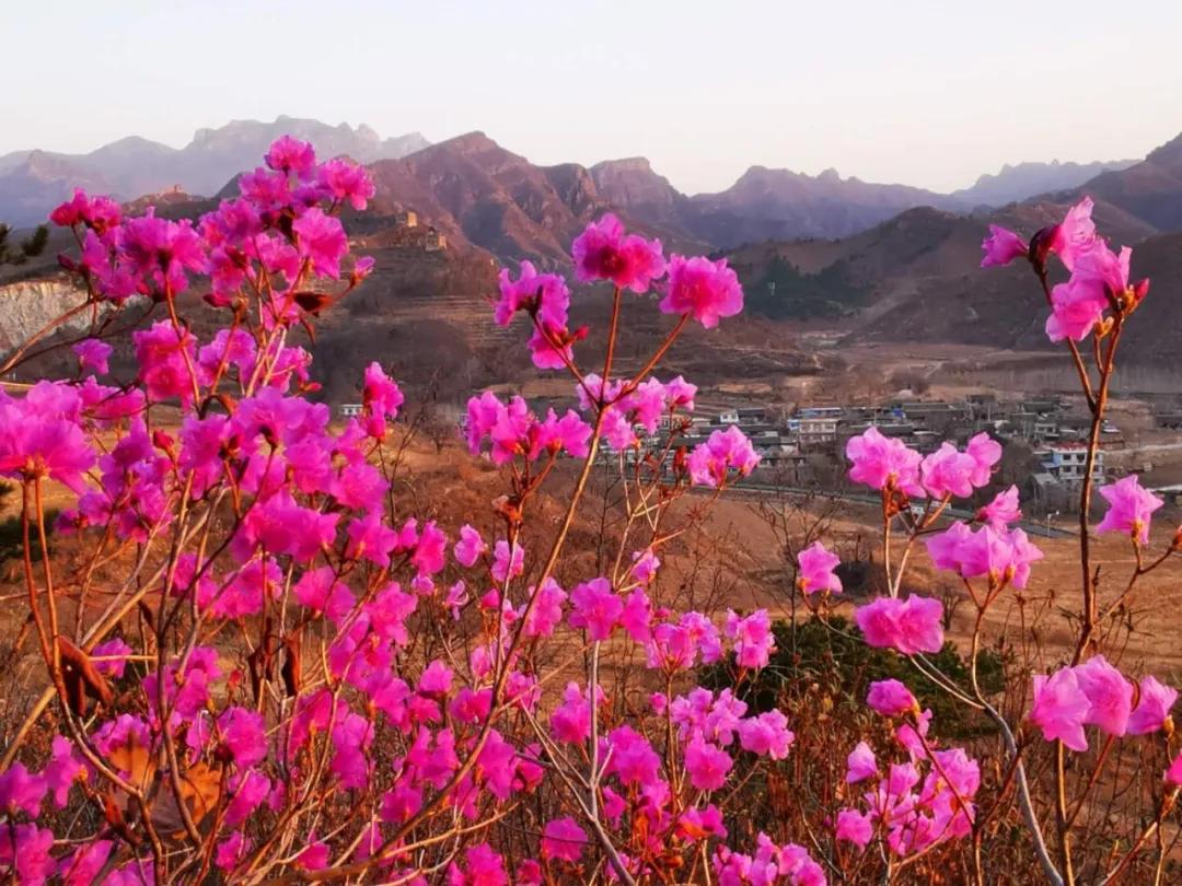 又是一年春光好完整版,又是一年春光好文明旅游