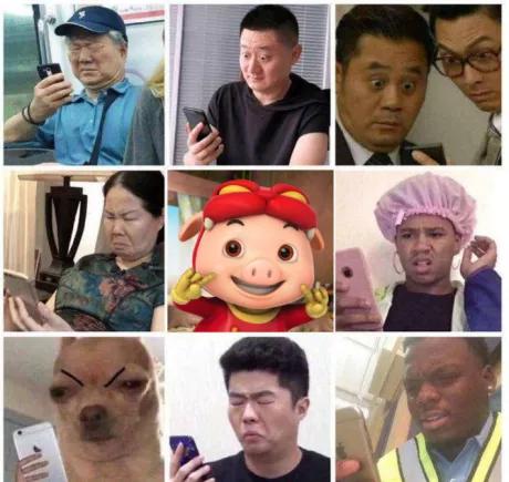 猪猪侠反转视频,猪猪侠逆袭前后变化视频