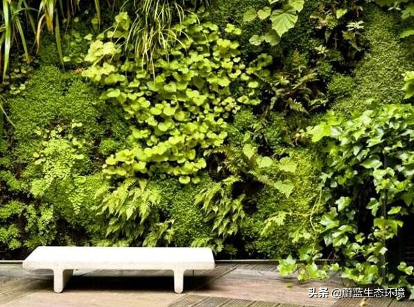 办公室工业风绿色植物装饰效果,办公室室内绿植绿化设计部分展示