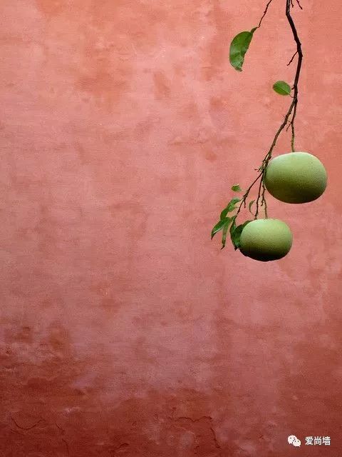 鲸彩漆好看的颜色,鲸彩漆浅灰调色