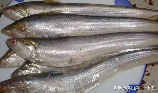 去菜市场买什么淡水鱼好,市场能买到的五大淡水鱼