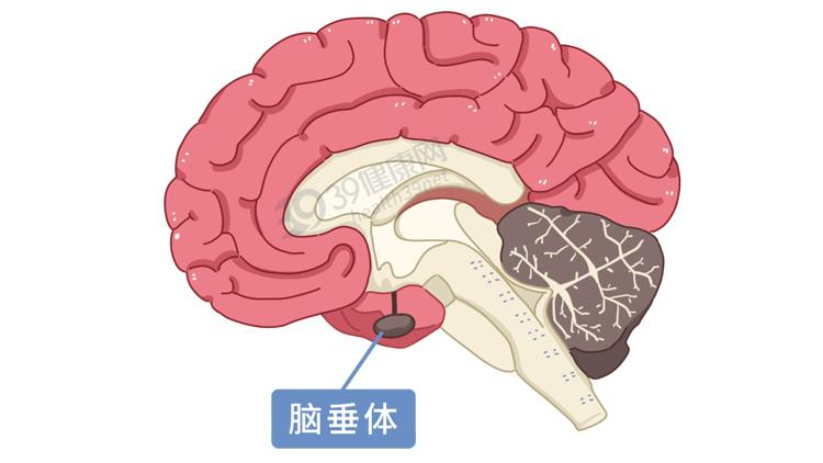 做断骨增高的人怎么样了,做了断骨增高看得出来吗