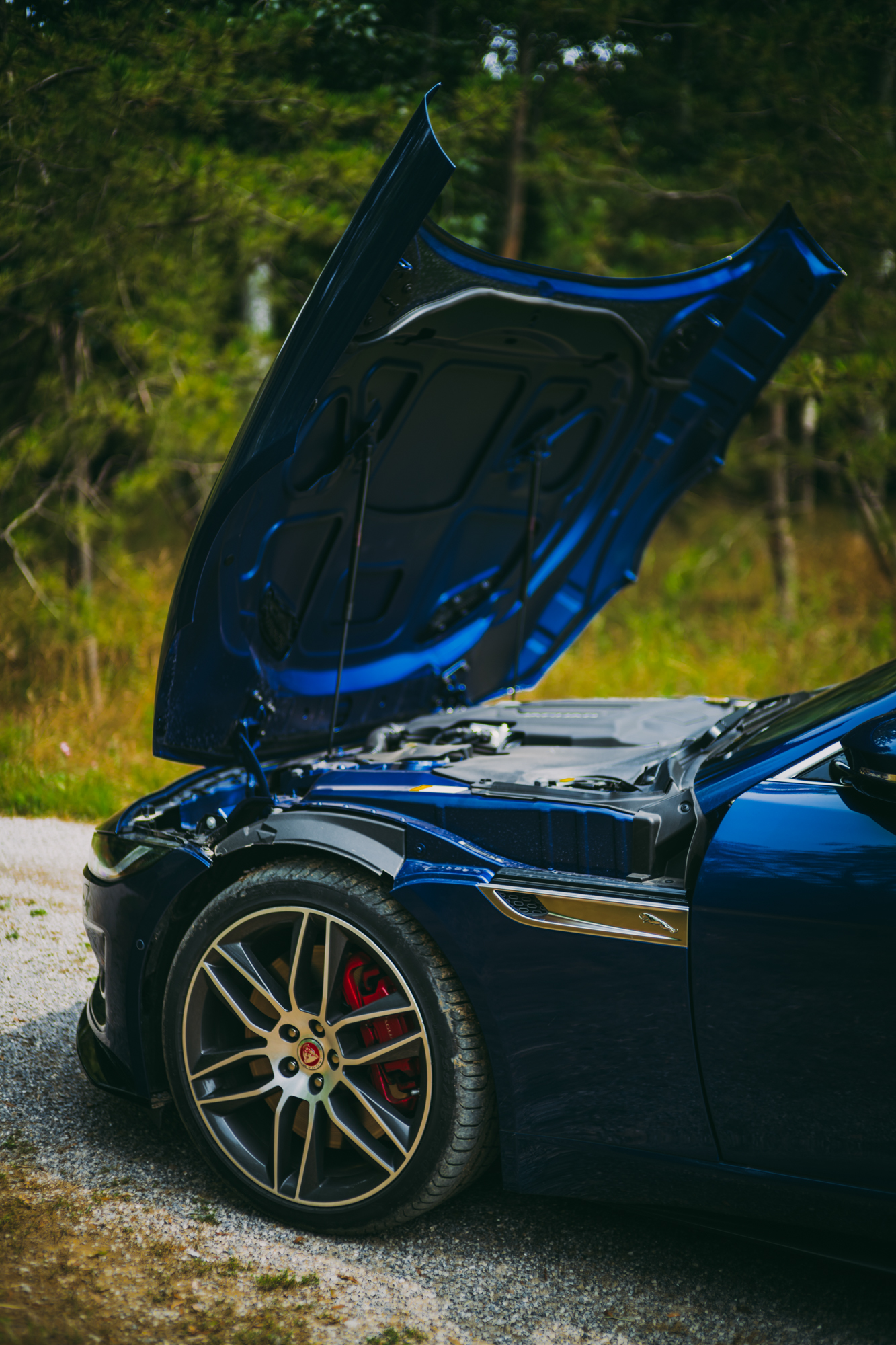 07款捷豹f-type英伦绿,捷豹f-type陈震试驾svr