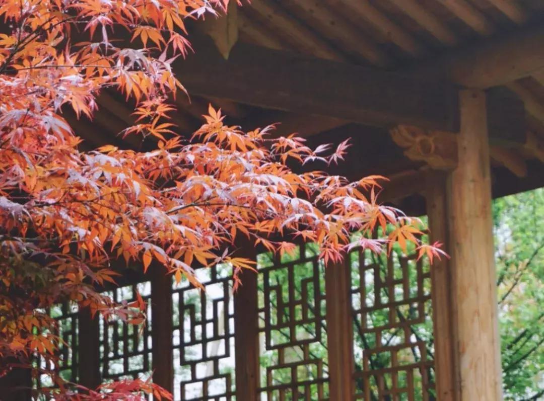 佛了！魔都周边9座「禁欲系寺院」，美到想出家！