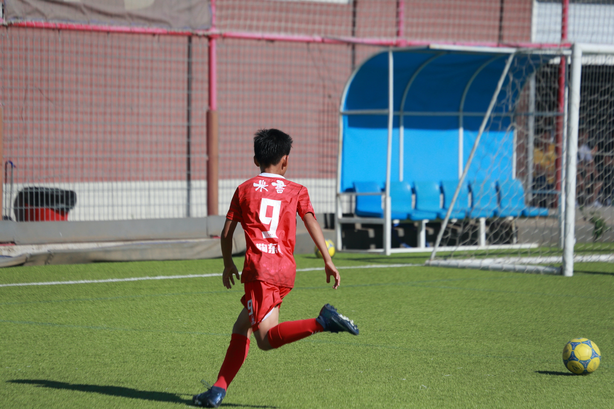 相机原片直出,这颜色真香!-摄影早自习第1675天