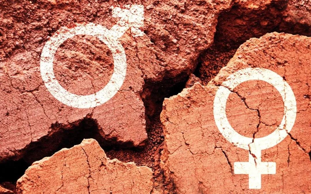 父母子女之间的爱注定是一场辜负,父母没有边界的爱毁了我一辈子