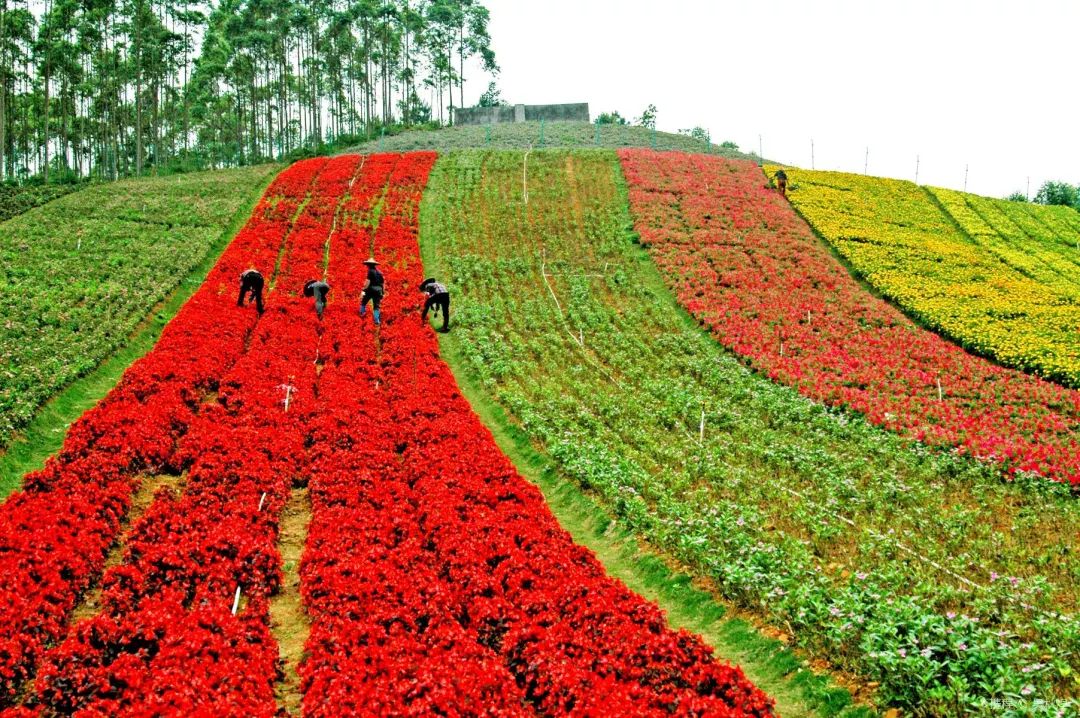 游玩半价票,0元门票玩上海