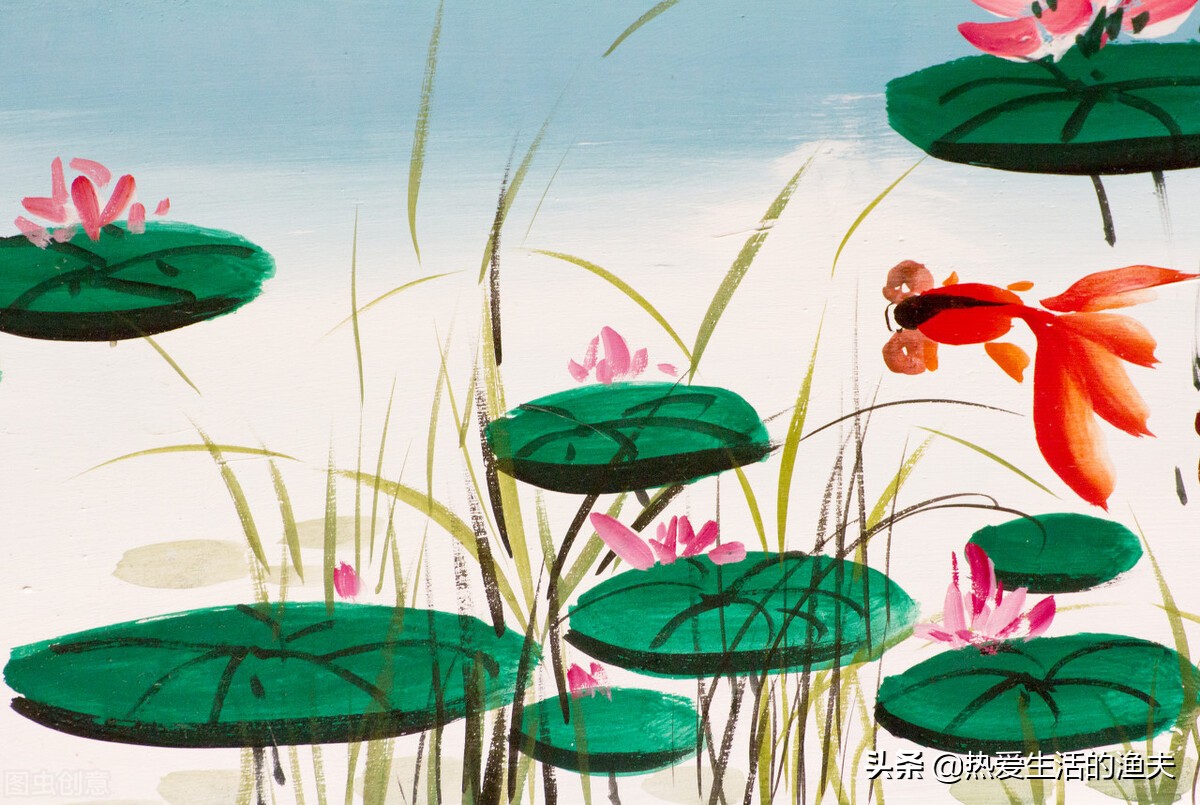 金鱼五六天不喂食会饿死吗,金鱼几天不喂食会不会死掉