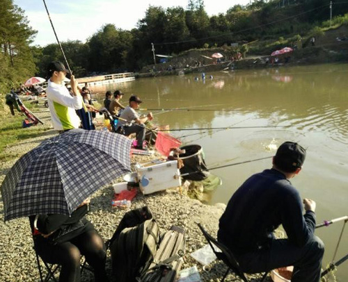 农村致富的10个项目,农村可以赚钱的项目