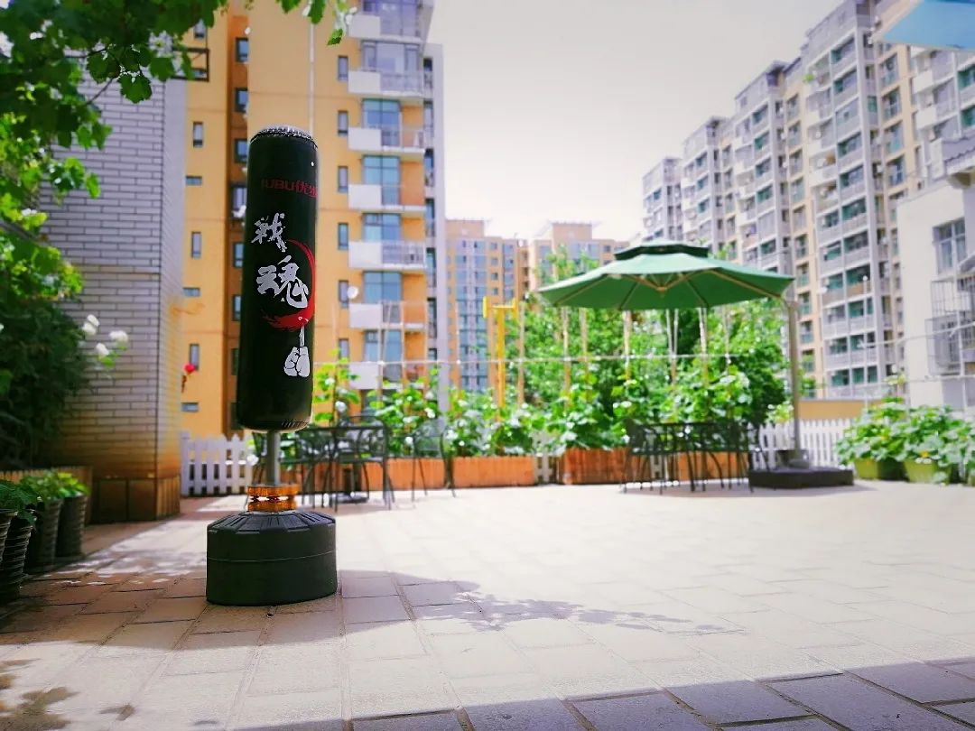 关键之道体育怎么样,关键之道体育