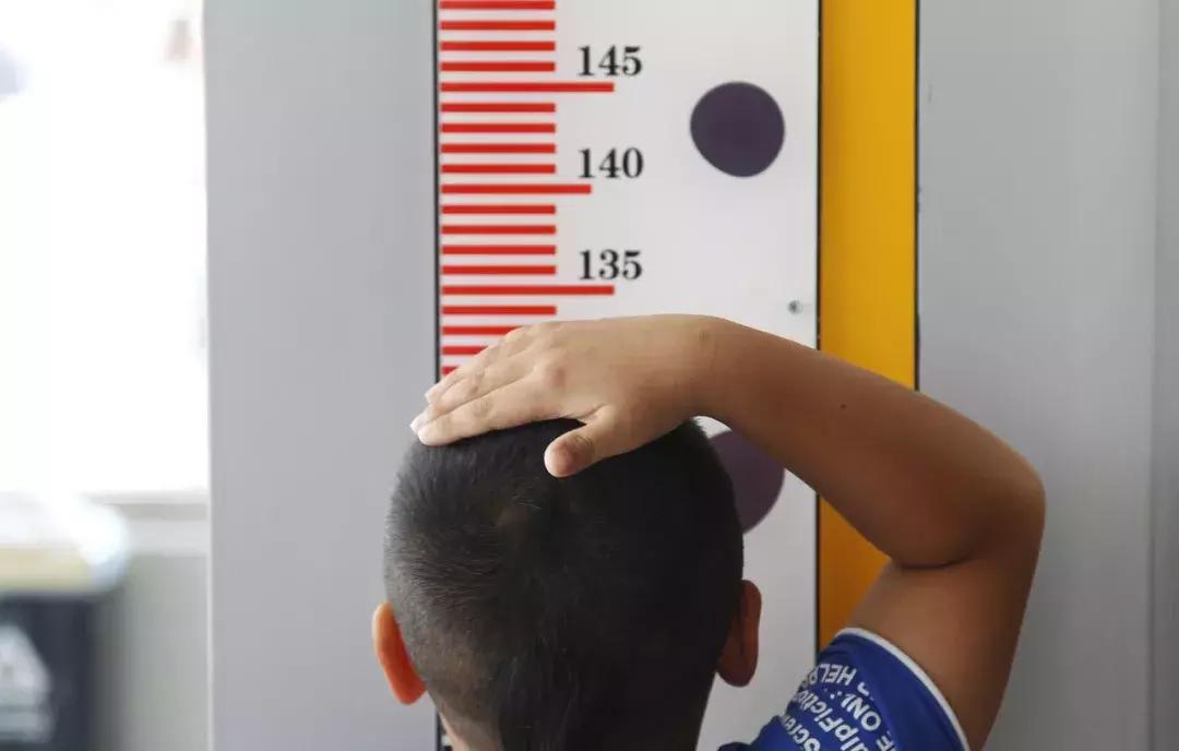 广东消委会起诉长隆!景区儿童票到底该按啥收费?