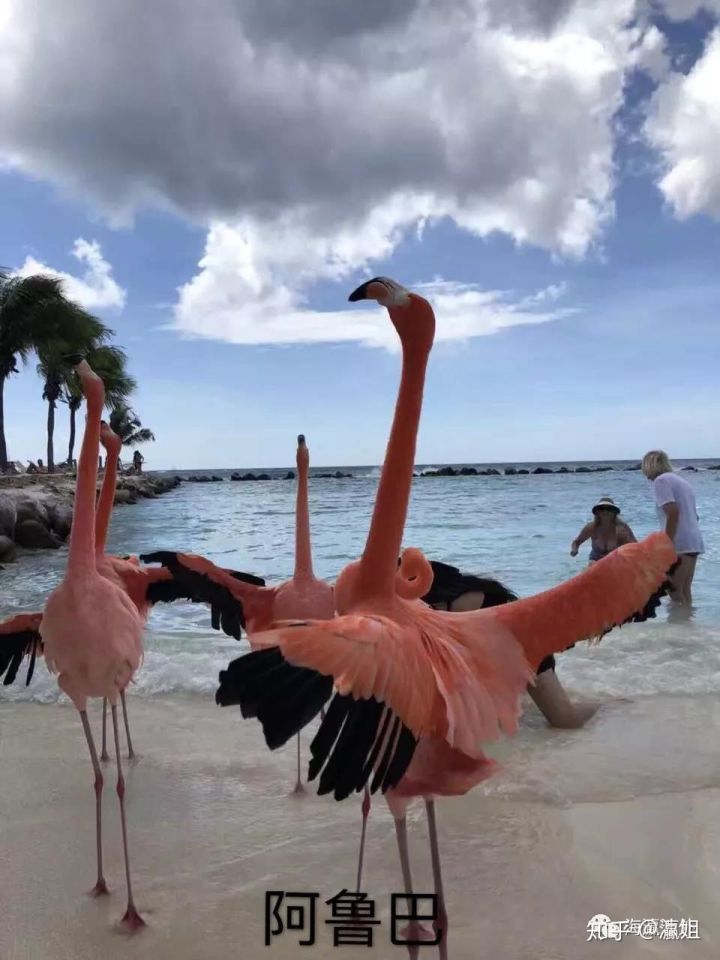 学汽车美容有没有前途,女生学美容学什么比较好