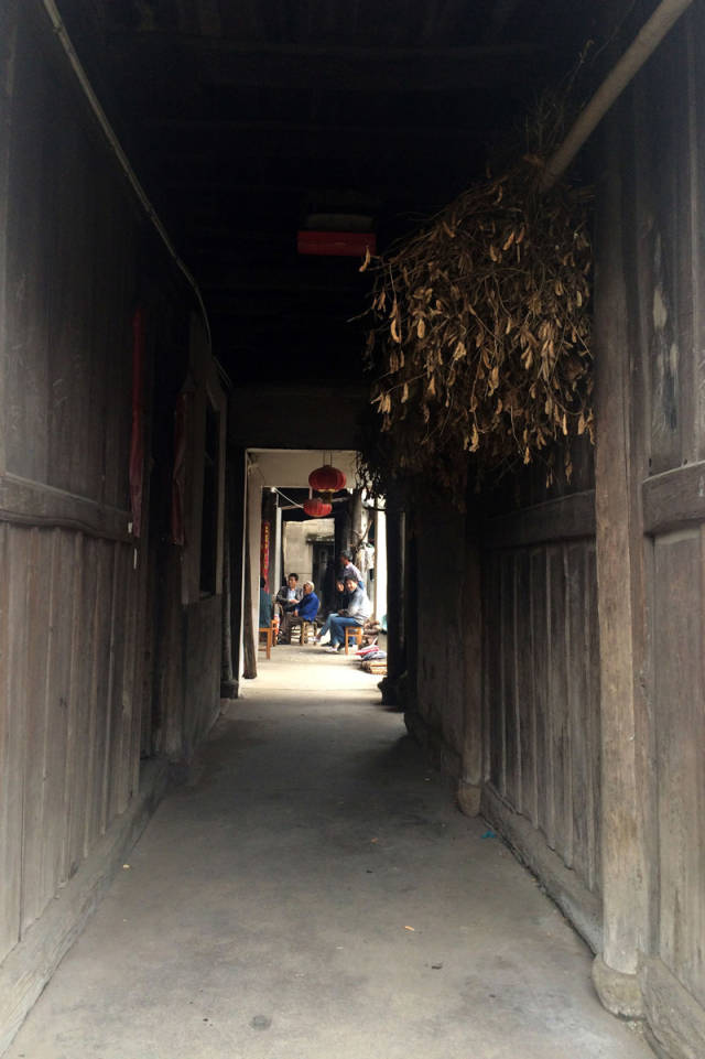 椹簯鏉窞璁茶瘽,椹簯鏉窞鏀垮簻