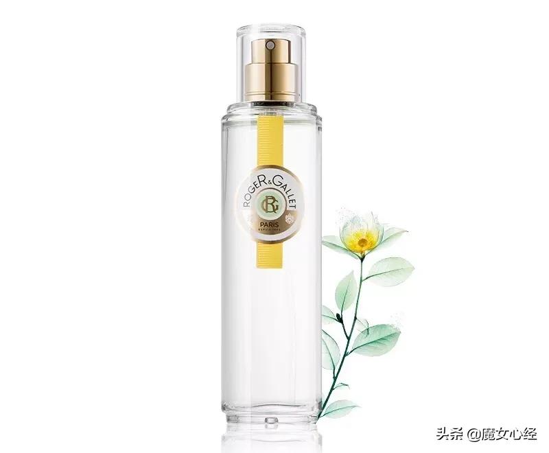 最适合夏天用的10款大牌香水,介绍推荐几款经典的绿茶香水
